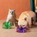 Adjustable Tilted Non-slip Wide Mouth Kitten Feeding Bowls