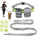 Adjustable Waist Elastic Reflective Handsfree Dog Leash