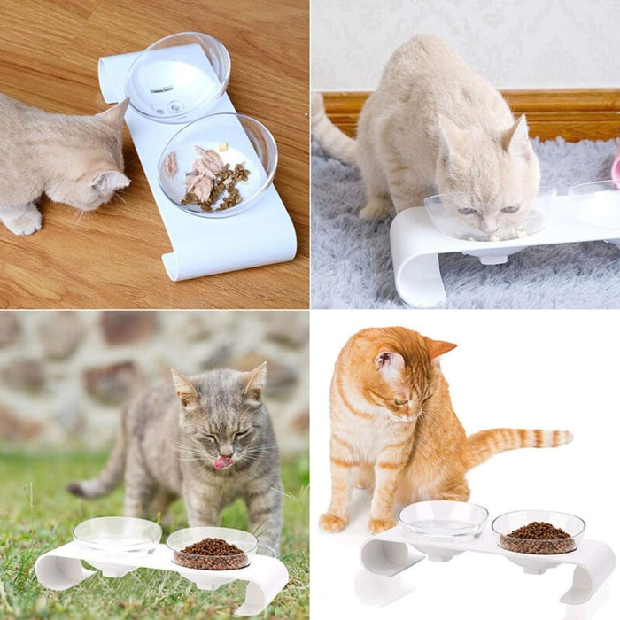 Anti-skid Removable 15° Tilted Raised Food Water Cat Bowl