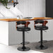 Artiss Set Of 2 Bar Stools Kitchen Wooden Gas Lift Pu