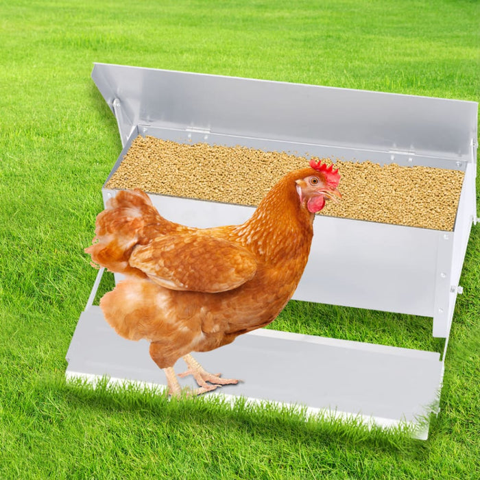 Goslash Picks Automatic Chicken Feeder Self Open Poultry