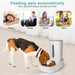 Automatic Pet Food Dispenser For Large Medium Small Dogs