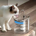 Automatic Pet Water Fountain