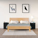 Bedside Cabinets 2 Pcs Black 50x35x61.5 Cm Solid Wood Pine