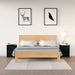 Bedside Cabinets 2 Pcs Black 50x35x61.5 Cm Solid Wood Pine