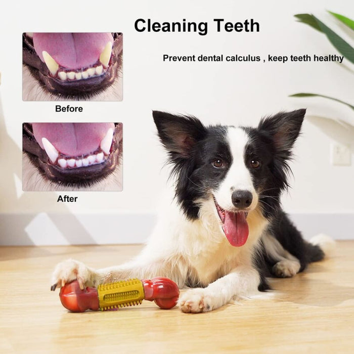 Beef Flavor Rubber Teeth Cleaning Chew Bone Dog