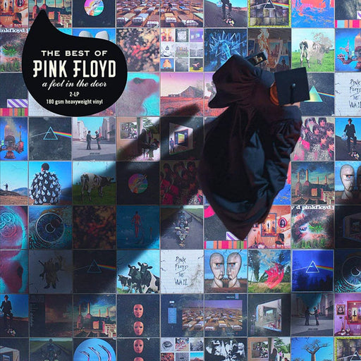 Best Of Pink Floyd a Foot In The Door Vinyl