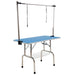 Blue Pet Grooming Salon Table Dual Dog Cat 120cm