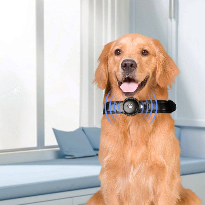 Bluetooth Pet Tracker Collar Dog Locator Gps Smart