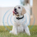 Bluetooth Pet Tracker Collar Dog Locator Gps Smart