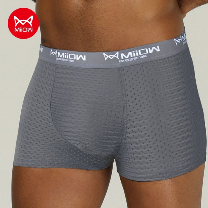 Men Boxer Shorts Underwear Mesh Breathable Ice Silk