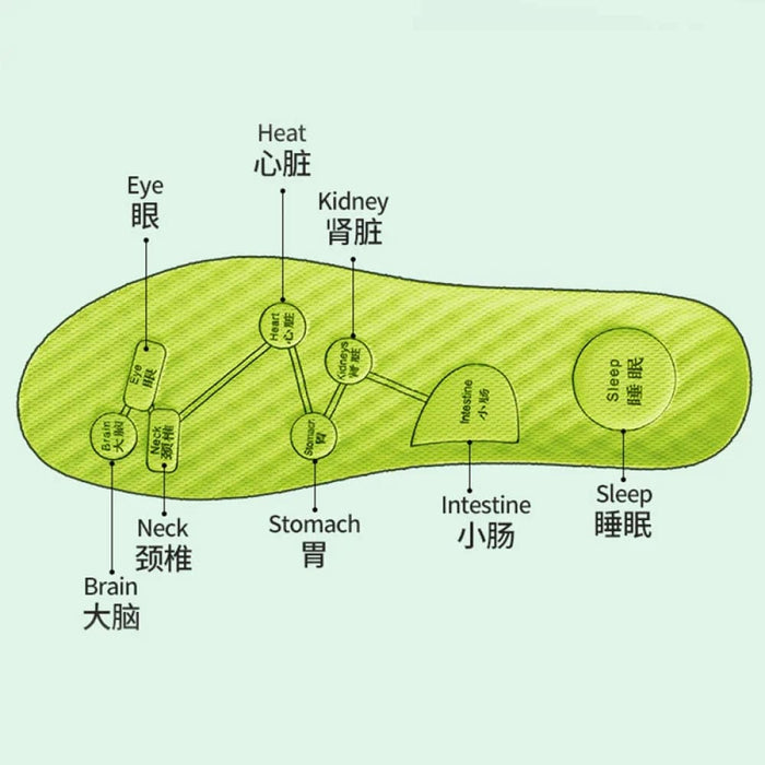 Breathable Foot Acupressure Insoles For Sweat Absorption