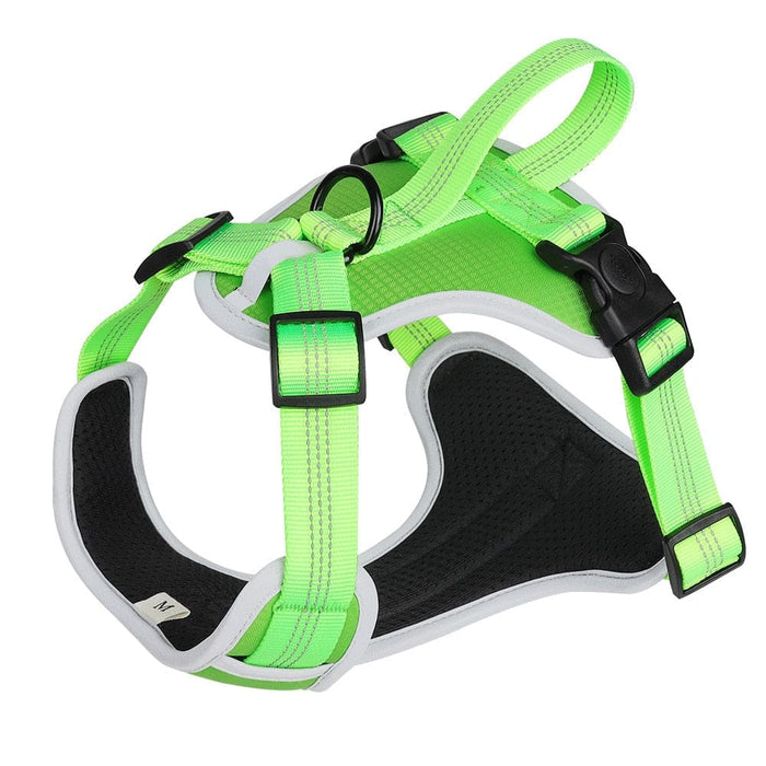 Breathable Mesh Reflective & Adjustable Dog Harness