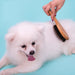 Bristles Bamboo Hair Brush For Pets