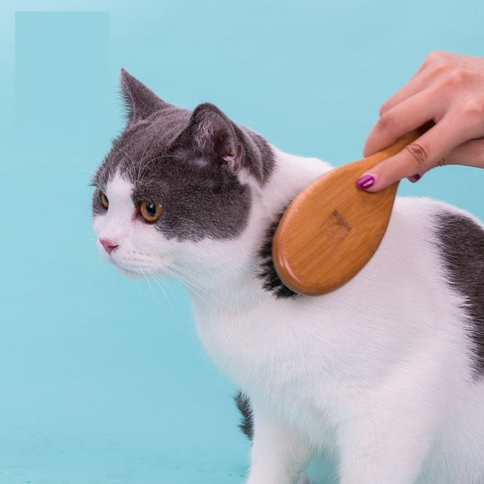 Bristles Bamboo Hair Brush For Pets