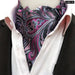 British Gentleman Tie Set Jacquard Paisley Cashew Cravat