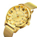 Business Men Luxury Golden Steel Mesh Band Quartz