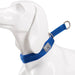 P-chain Nylon Pet Collar