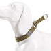 P-chain Nylon Pet Collar