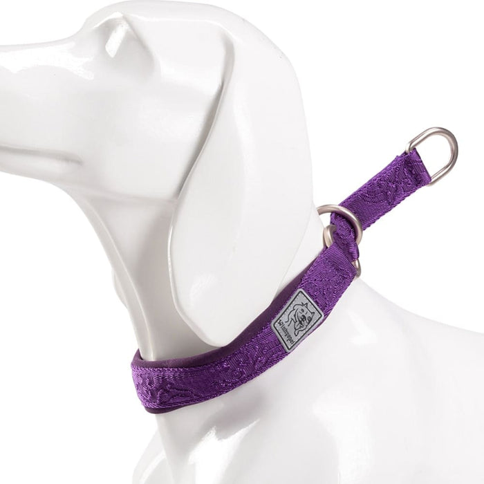 P-chain Nylon Pet Collar