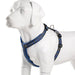 Chest Strap Harness For Dogs