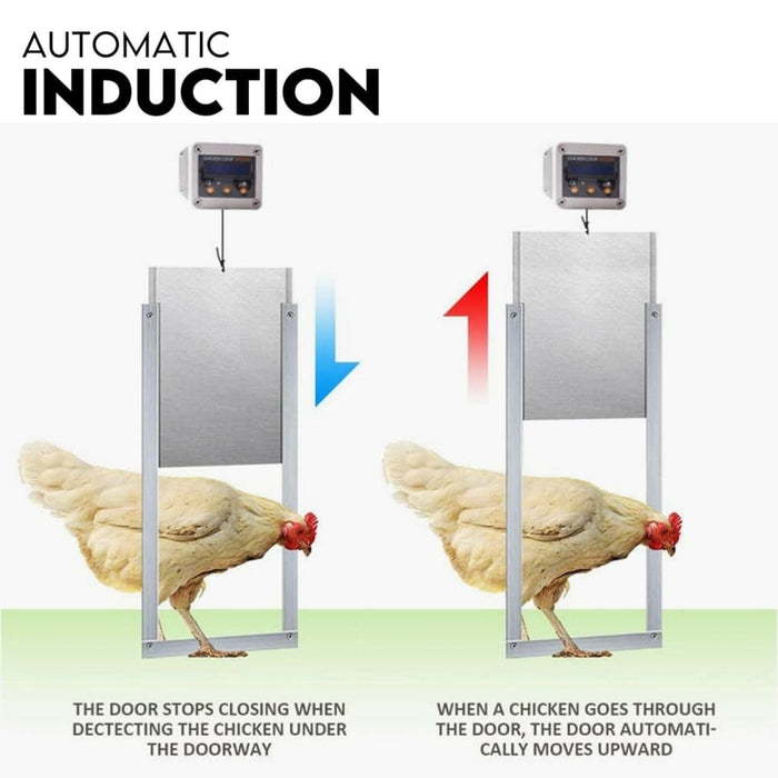 Chicken Coop Door With Digital Lcd Screen To Manage Timer