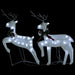 Christmas Reindeers 2 Pcs White 40 Leds Taxlnp