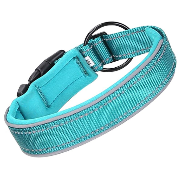 Comfortable Adjustable Heavy Duty Durable Padded Nylon Pet