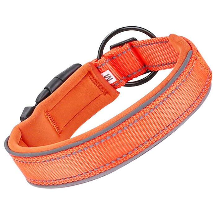 Comfortable Adjustable Heavy Duty Durable Padded Nylon Pet