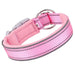 Comfortable Adjustable Heavy Duty Durable Padded Nylon Pet