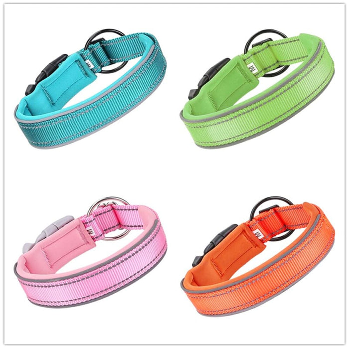 Comfortable Adjustable Heavy Duty Durable Padded Nylon Pet