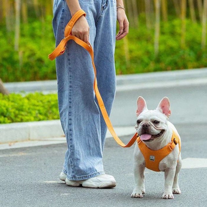 Comfortable Eco-friendly Dog Rope Leash