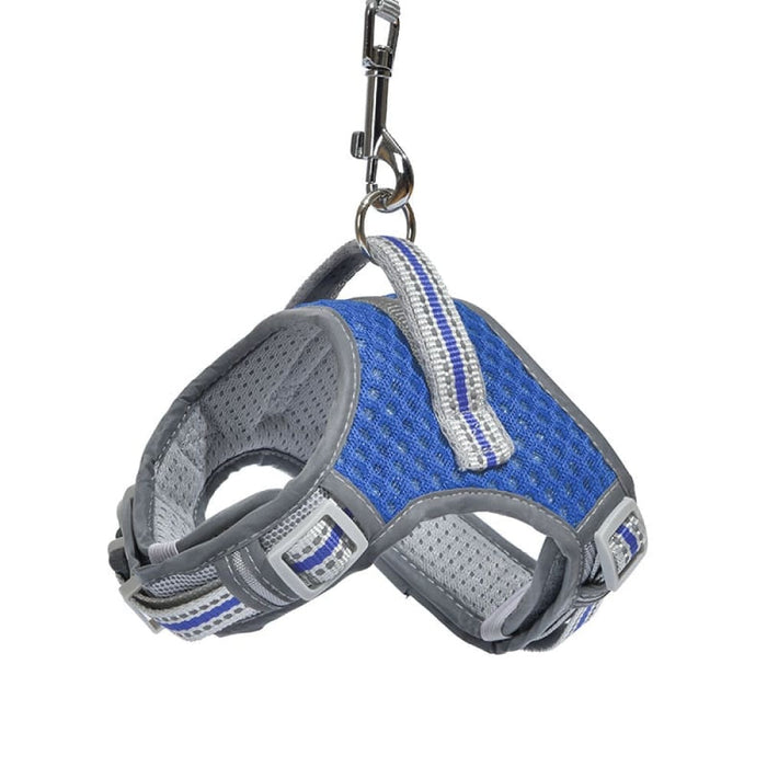 Comfortable No Pull Adjustable Dog Harness And Leash Set