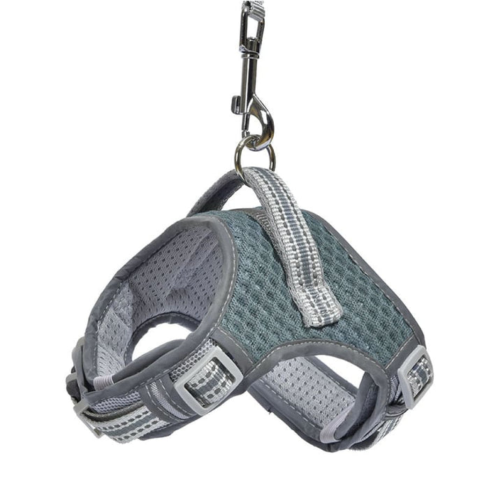 Comfortable No Pull Adjustable Dog Harness And Leash Set