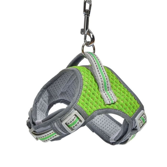 Comfortable No Pull Adjustable Dog Harness And Leash Set