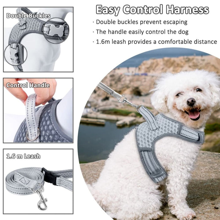 Comfortable No Pull Adjustable Dog Harness And Leash Set