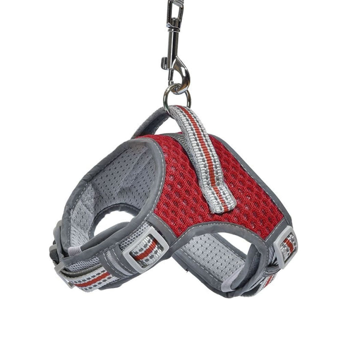 Comfortable No Pull Adjustable Dog Harness And Leash Set