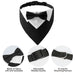 Dog Collar With Bow Tie