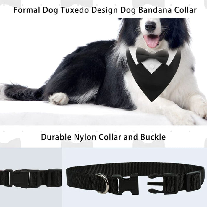 Dog Collar With Bow Tie