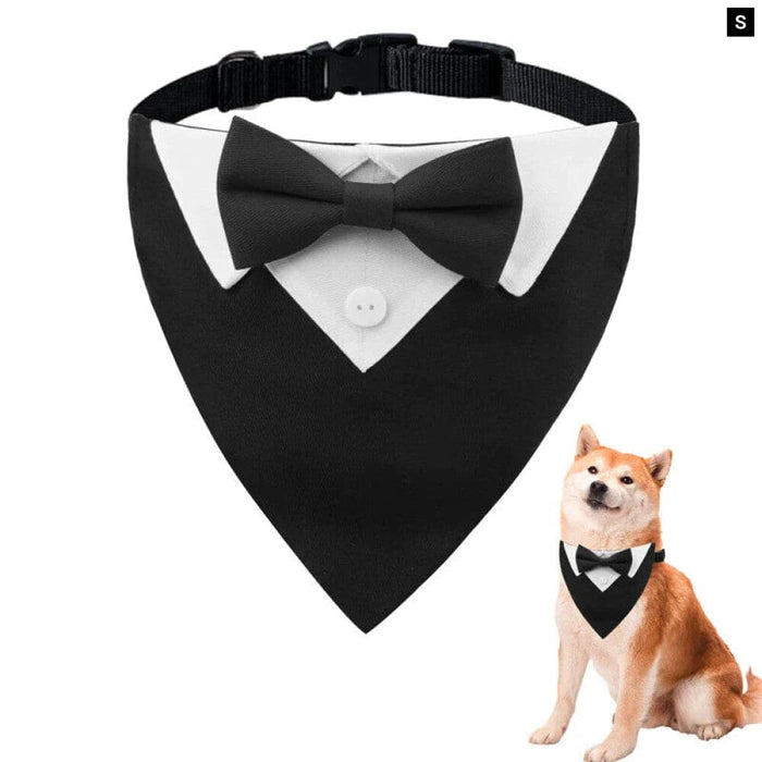 Dog Collar With Bow Tie