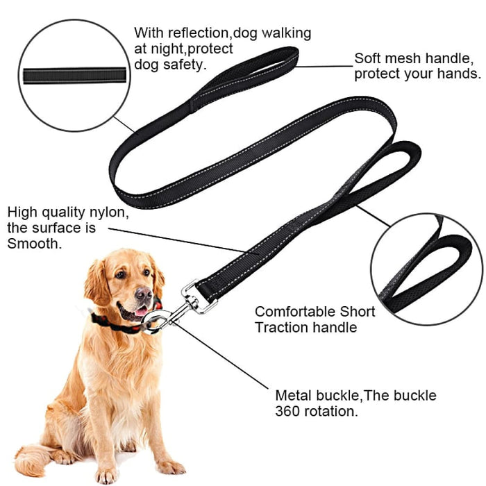 Double Handle Design Nylon Reflective Dog Leash