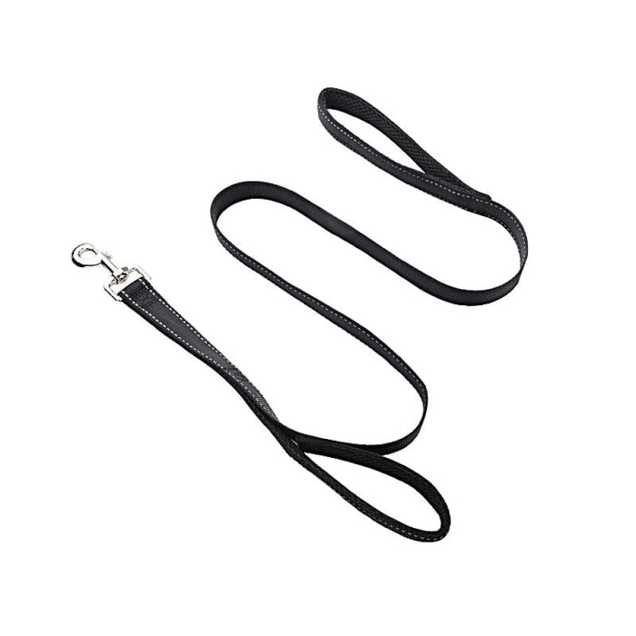 Double Handle Design Nylon Reflective Dog Leash