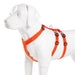 Double-h Nylon Reflective Dog Harness