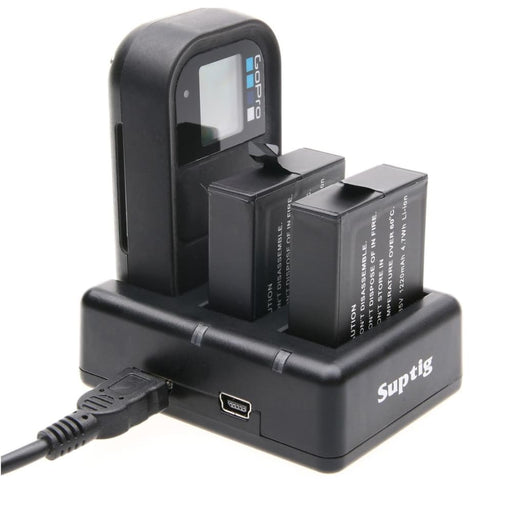 Dual Battery Charger With Remote Control And Usb Cable