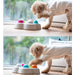 Durable Anti-slip Colourful Slow Feeding Treat Dog Puzzle