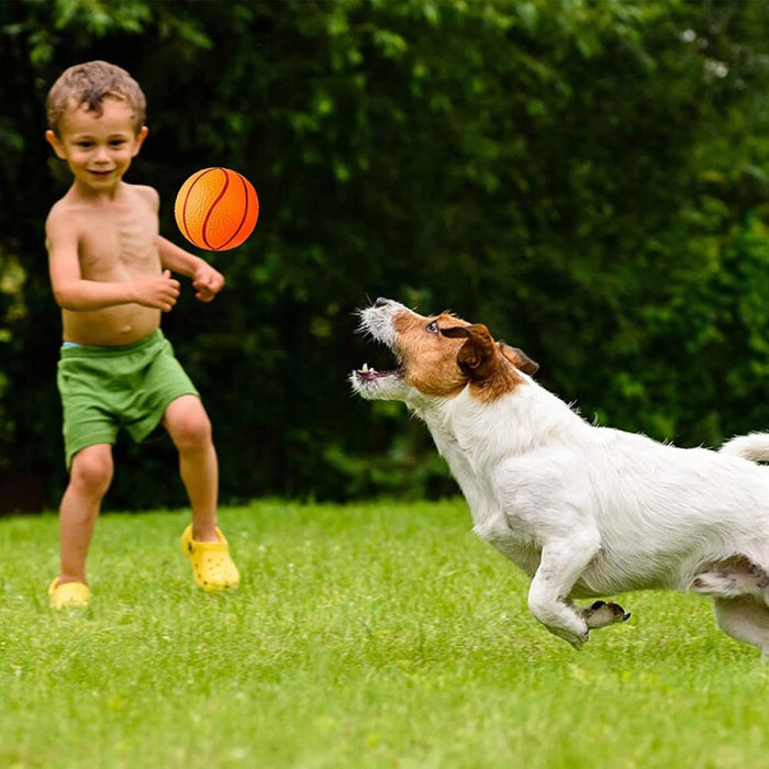 Durable Bouncy Fetch Basketball Chew Ball For Small Medium