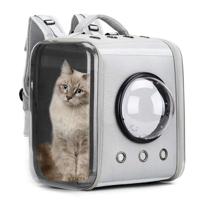 Durable Foldable Ventilate Big Space Transparent Pet