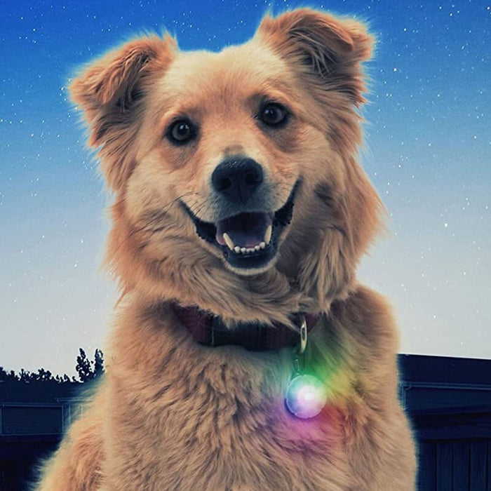 Durable Glowing Luminous Led Dog Collar Pendant