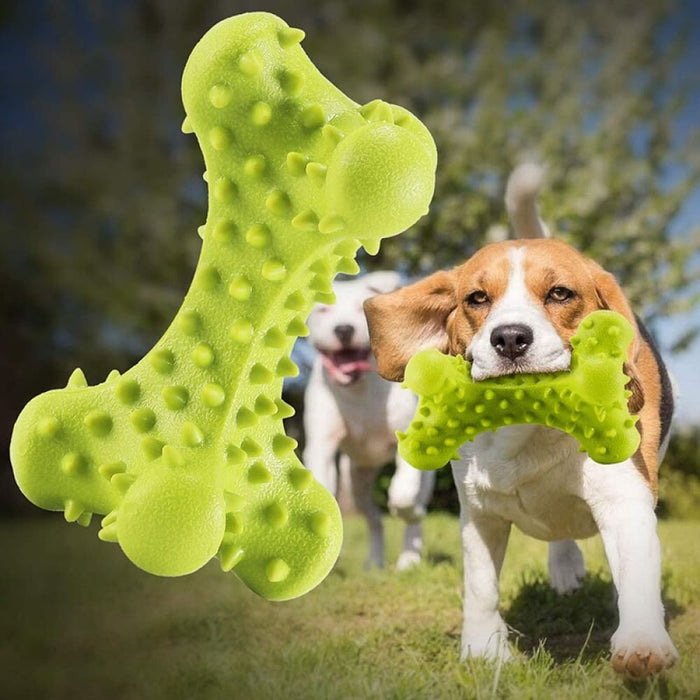 Durable Safe Non-toxic Rubber Puppy Chew Bone Toy For Small