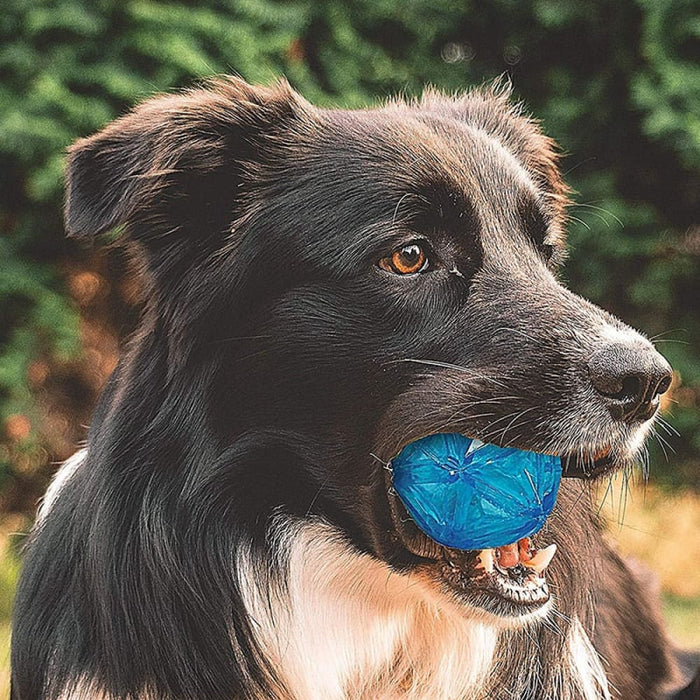 Durable Squeaker Dental Care Soft Flash Led Dog Bounce Ball